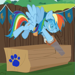 Size: 557x560 | Tagged: safe, derpibooru import, edit, edited screencap, screencap, rainbow dash, pony, the cart before the ponies, animated, blue's clues, gif, goggles, loop, paw print, safety goggles, saw, solo, wood