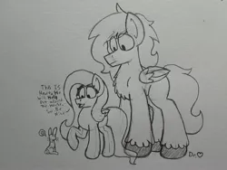 Size: 2576x1932 | Tagged: safe, artist:drheartdoodles, derpibooru import, fluttershy, oc, oc:dr.heart, clydesdale, pony, angel, chest fluff, dialogue, mini comic, size difference, smiling, traditional art