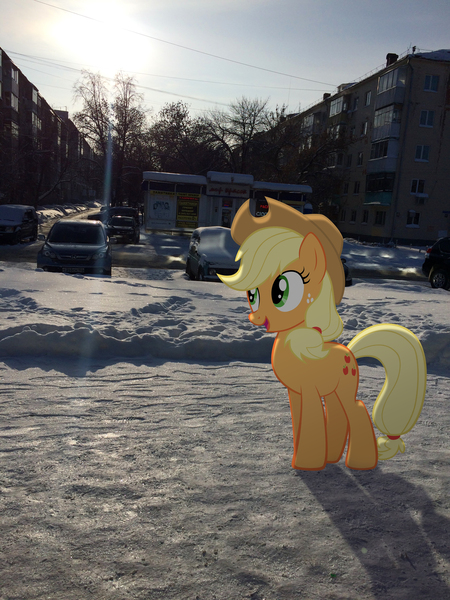 Size: 2448x3264 | Tagged: safe, artist:albertuha, derpibooru import, applejack, earth pony, pony, female, irl, mare, photo, ponies in real life, russia, smiling, snow, solo, winter