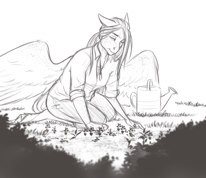 Size: 2484x2151 | Tagged: anthro, anthro oc, artist:askbubblelee, clothes, derpibooru import, female, flower, freckles, garden, gardening, grandmother, kneeling, mare, monochrome, oc, oc:willow breeze, pegasus, safe, shirt, simple background, sketch, smiling, solo, unguligrade anthro, unofficial characters only, watering can, white background