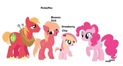 Size: 1170x636 | Tagged: safe, artist:missponi, derpibooru import, big macintosh, pinkie pie, oc, oc:blossom stick, oc:strawberry chip, earth pony, pony, base used, family, female, filly, freckles, male, offspring, parent:big macintosh, parent:pinkie pie, parents:pinkiemac, pinkiemac, shipping, simple background, straight, white background