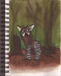 Size: 1378x1698 | Tagged: safe, artist:greenpolarbear47, derpibooru import, oc, unofficial characters only, okapi, pony, female, forest, quadrupedal, solo, traditional art