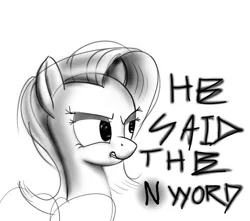 Size: 1324x1173 | Tagged: safe, artist:hoofwaffe, derpibooru import, pony, angry, monochrome, n word, racism