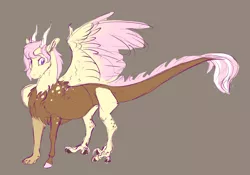 Size: 4129x2897 | Tagged: artist:varwing, brown background, derpibooru import, draconequus, draconequus oc, female, gift art, hybrid, interspecies offspring, looking sideways, oc, oc:panacea, offspring, one wing out, parent:discord, parent:fluttershy, parents:discoshy, safe, simple background, solo, unofficial characters only, wings