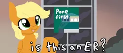 Size: 1010x440 | Tagged: safe, artist:nootaz, derpibooru import, oc, oc:rapid rescue, pony, is this a pigeon, meme