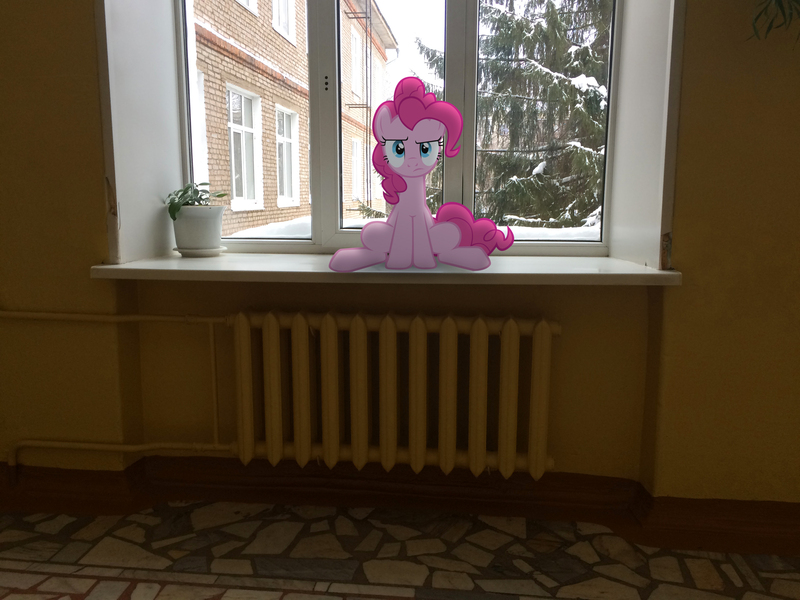 Size: 3264x2448 | Tagged: safe, artist:albertuha, derpibooru import, pinkie pie, earth pony, pony, female, frown, glare, heater, irl, looking at you, mare, photo, ponies in real life, raised eyebrow, school, sitting, snow, solo, window, winter