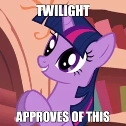 Size: 600x600 | Tagged: safe, derpibooru import, edit, edited screencap, screencap, twilight sparkle, pony, unicorn, look before you sleep, approval, approves, caption, golden oaks library, image macro, meme, reaction image, smiling, solo, text, unicorn twilight