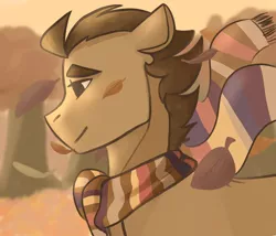 Size: 1280x1097 | Tagged: safe, artist:kimikaami, derpibooru import, doctor whooves, time turner, pony, autumn, clothes, cute, doctorbetes, empty eyes, fourth doctor's scarf, leaf, male, scarf, solo, stallion