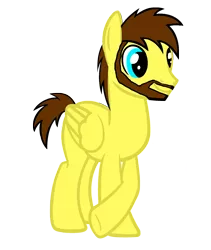 Size: 1652x1960 | Tagged: safe, artist:sky chaser, derpibooru import, oc, oc:sky chaser, unofficial characters only, pegasus, pony, base used, beard, facial hair, hooves, male, simple background, solo, stallion, transparent background, underhoof