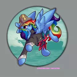 Size: 1000x1000 | Tagged: safe, artist:econcoction, derpibooru import, part of a set, rainbow dash, bird, macaw, parrot, pegasus, pony, clothes, cute, dashabetes, eye clipping through hair, eyebrows visible through hair, female, hat, mare, no catchlights, pirate, pirate dash, pirate hat, solo