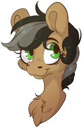 Size: 2452x3786 | Tagged: safe, artist:cutepencilcase, derpibooru import, oc, oc:artsong, unofficial characters only, pony, bust, commission, portrait, simple background, solo, transparent background