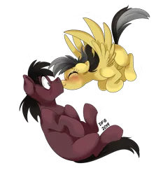 Size: 1280x1375 | Tagged: safe, artist:dragonfoxgirl, derpibooru import, daring do, oc, oc:phillip finder, earth pony, pegasus, pony, blushing, canon x oc, female, flying, kissing, male, missing accessory, missing cutie mark, phiring, shipping, straight, surprised