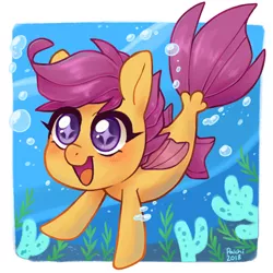 Size: 600x599 | Tagged: artist:paichi-art, blushing, bubble, coral, cute, cutealoo, derpibooru import, female, happy, open mouth, safe, scootaloo, seaponified, seapony (g4), seapony scootaloo, smiling, solo, species swap, starry eyes, surf and/or turf, that pony sure does love being a seapony, underwater, wingding eyes