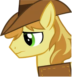 Size: 1067x1139 | Tagged: safe, artist:a01421, derpibooru import, braeburn, pony, bust, portrait, simple background, solo, transparent background, vector