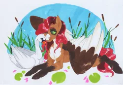 Size: 3159x2182 | Tagged: safe, artist:frozensoulpony, derpibooru import, oc, oc:sage leaf, unofficial characters only, bird, pegasus, pony, swan, male, offspring, parent:fluttershy, parent:troubleshoes clyde, parents:troubleshy, prone, stallion, traditional art