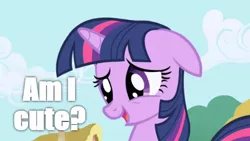 Size: 512x288 | Tagged: safe, derpibooru import, edit, edited screencap, screencap, twilight sparkle, pony, unicorn, friendship is magic, bronybait, caption, cute, female, image macro, mare, meme, solo, text, twiabetes, unicorn twilight