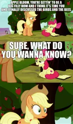 Size: 1920x3240 | Tagged: suggestive, derpibooru import, edit, edited screencap, screencap, apple bloom, applejack, earth pony, pony, marks for effort, apple sisters, caption, comic, female, filly, foal, grammar error, image macro, implied sex, mare, meme, screaming internally, screencap comic, siblings, sisters, smiling, smirk, smug, sweet apple acres, text, the birds and the bees, the talk