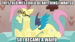 Size: 1280x720 | Tagged: caption, clothes, costume, couch, derpibooru import, discord, discordant harmony, disguise, draconequus, edit, edited screencap, fluttershy suit, glasses, happy, image macro, impact font, meme, safe, screencap, shitposting, solo, text, they told me, waifu, weird fetish