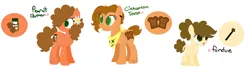 Size: 1535x423 | Tagged: safe, artist:kyper-space, derpibooru import, oc, oc:cinnamon toast, oc:fondue, oc:peanut butter, unofficial characters only, earth pony, pony, bandana, base used, clothes, female, filly, flower, flower in hair, magical gay spawn, mare, offspring, open mouth, parent:big macintosh, parent:cheese sandwich, parents:mac n cheese, siblings, signature, simple background, smiling, standing, trio, white background
