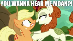 Size: 1920x1080 | Tagged: suggestive, derpibooru import, edit, edited screencap, screencap, applejack, autumn blaze, earth pony, kirin, pony, sounds of silence, caption, cloven hooves, colored hooves, female, image macro, implied autumnjack, implied shipping, interspecies, lesbian, mare, meme, text