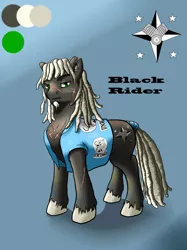 Size: 1024x1366 | Tagged: safe, artist:steveskunk, derpibooru import, oc, oc:black rider, pony, biker, charsheet, dreadlocks, looking at you