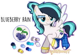 Size: 1059x755 | Tagged: safe, artist:jxst-roch, derpibooru import, oc, oc:blueberry rain, unofficial characters only, pegasus, pony, bracelet, clothes, ear piercing, earring, eyeshadow, female, flying, jewelry, looking at something, makeup, mare, multicolored hair, piercing, raised hoof, reference sheet, signature, simple background, smiling, smirk, socks, solo, spread wings, transparent background, two toned wings, wings