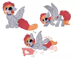 Size: 1696x1296 | Tagged: safe, artist:little-sketches, derpibooru import, oc, oc:arian blaze, unofficial characters only, pegasus, pony, behaving like a dog, bone, chest fluff, chibi, collar, eye clipping through hair, feather, female, mare, mouth hold, on back, pillow, pony pet, simple background, solo, tail wag, tongue out, white background