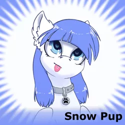 Size: 1024x1024 | Tagged: safe, artist:arctic-fox, derpibooru import, oc, oc:snow pup, unofficial characters only, pegasus, pony, derpibooru, :p, blue mane, collar, ear fluff, female, looking up, meta, official spoiler image, silly, simple background, snow pup, solo, spoiler image, spoilered image joke, text, tongue out, white coat