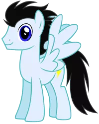 Size: 4896x6138 | Tagged: safe, artist:andoanimalia, derpibooru import, oc, oc:lightning, pegasus, pony, absurd resolution, male, simple background, solo, stallion, transparent background, vector