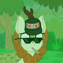 Size: 3000x3000 | Tagged: alternate version, artist:devfield, autumn blaze, autumn blazed, blunt, bush, cap, dead meme, derpibooru import, drugs, drug use, female, glasses, hat, i'm sorry, kill me, kirin, marijuana, meme, mlg, montage parody, obey, plant, safe, shitposting, smoking, solo, sounds of silence, sunglasses, tree, vine