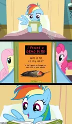 Size: 500x860 | Tagged: suggestive, derpibooru import, edit, edited screencap, screencap, fluttershy, pinkie pie, rainbow dash, pony, read it and weep, comic, cracked.com, exploitable meme, implied anal insertion, implied insertion, meme, reading, reading rainbow