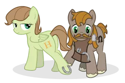 Size: 1024x680 | Tagged: safe, artist:icaron, derpibooru import, oc, oc:saga, unofficial characters only, earth pony, pegasus, pony, facial hair, farrier, female, horseshoes, male, moustache, show accurate, vector
