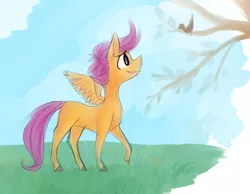 Size: 1239x960 | Tagged: safe, artist:bebbies, artist:grixxynix, artist:kevuma, artist:the-doodle-queen, derpibooru import, scootaloo, bird, pegasus, pony, blank flank, female, filly, raised hoof, solo, spread wings, tree, wings