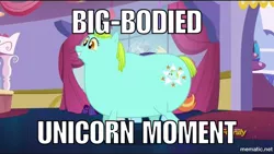 Size: 1000x563 | Tagged: safe, derpibooru import, edit, edited screencap, screencap, whoa nelly, pony, canterlot boutique, big lipped alligator moment, caption, fat, image macro, meme, nostalgia critic, text