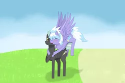 Size: 1500x1000 | Tagged: safe, artist:daringtiger, derpibooru import, cloudchaser, thunderlane, pony, female, male, shipping, straight, thunderchaser