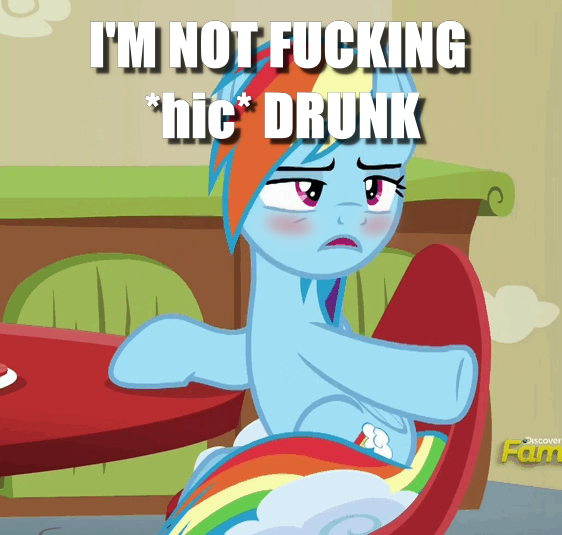 Size: 562x535 | Tagged: safe, derpibooru import, edit, edited screencap, screencap, rainbow dash, pony, flutter brutter, blatant lies, caption, cropped, dashaholic, drunk, drunker dash, image macro, solo, text, vulgar