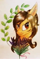 Size: 2873x4263 | Tagged: safe, artist:cahandariella, derpibooru import, oc, oc:lavender craft, pegasus, pony, 2019, brown eyes, brown mane, bust, female, flower, lidded eyes, mare, plant, portrait, prize, samhain, shine, smiling