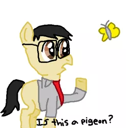 Size: 384x389 | Tagged: safe, artist:nightshadowmlp, derpibooru import, butterfly, earth pony, pony, blank flank, clothes, dialogue, glasses, is this a pigeon, jacket, male, meme, no pants, ponified meme, shirt, solo, stallion, text