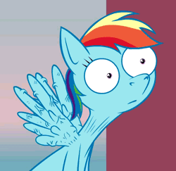 Size: 640x622 | Tagged: suggestive, artist:hotdiggedydemon, derpibooru import, rainbow dash, pegasus, pony, .mov, shed.mov, animated, female, gif, mare, rainbow dash is best facemaker, shocked, spread wings, swag, throbbing, wide eyes, wingboner, wings