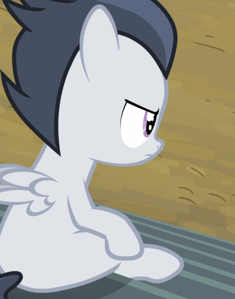 Size: 738x937 | Tagged: safe, derpibooru import, screencap, rumble, pegasus, pony, marks and recreation, bleachers, colt, cropped, male, rear view, sitting, unamused