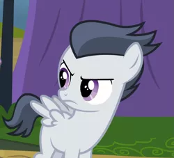 Size: 1029x935 | Tagged: safe, derpibooru import, screencap, rumble, pegasus, pony, marks and recreation, colt, cropped, looking back, male, solo, unamused