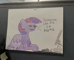 Size: 2806x2286 | Tagged: safe, artist:pinkamenace, derpibooru import, twilight sparkle, twilight sparkle (alicorn), alicorn, pony, bored, computer, dialogue, solo, traditional art