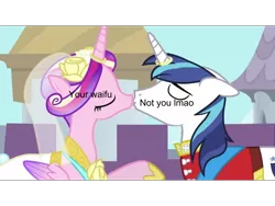 Size: 960x720 | Tagged: safe, derpibooru import, edit, edited screencap, editor:countcoltnackh, screencap, princess cadance, shining armor, alicorn, pony, unicorn, a canterlot wedding, alternate hairstyle, anti-bronybait, canterlot, dank memes, exploitable meme, eyes closed, female, floppy ears, flower, flower in hair, holding hooves, holiday, horn, horn ring, kissing, lmao, male, mare, meme, raised hoof, ring, shiningcadance, shipping, shitposting, smiling, stallion, straight, valentine's day, veil, waifu