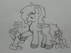 Size: 2576x1932 | Tagged: safe, artist:drheartdoodles, derpibooru import, aloe, lotus blossom, oc, oc:dr.heart, clydesdale, pegasus, pony, blushing, chest fluff, dialogue, exclamation point, holding hooves, sitting, size difference, surprised, twins