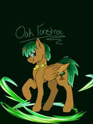 Size: 900x1200 | Tagged: safe, artist:dannimation, derpibooru import, oc, oc:oak forestree, alicorn, pony, choker, green hair, male, simple background, smiling, stallion