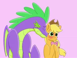 Size: 4032x3024 | Tagged: safe, artist:bellbell123, derpibooru import, applejack, spike, dragon, pony, applespike, blushing, cute, dilated pupils, female, heart, heart eyes, holiday, hoof hold, jackabetes, kiss on the cheek, kissing, male, older, older spike, pink background, shipping, simple background, spikabetes, straight, valentine's day, valentine's day card, wingding eyes, winged spike