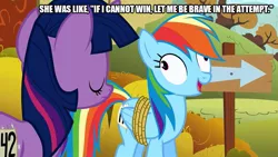 Size: 889x500 | Tagged: safe, derpibooru import, edit, edited screencap, screencap, rainbow dash, twilight sparkle, pony, fall weather friends, bound wings, caption, derp, image macro, sign, text, wings
