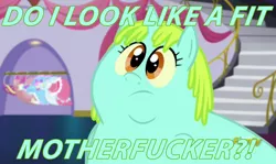 Size: 3832x2290 | Tagged: canterlot boutique, caption, derpibooru import, edit, edited screencap, fat, frown, image macro, incidental pony, obese, safe, screencap, solo, somecallmejohnny, text, vulgar, whoa nelly