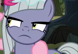 Size: 1344x936 | Tagged: safe, derpibooru import, screencap, limestone pie, pinkie pie, earth pony, pony, the maud couple, close-up, cropped, female, glare, limestone pie is not amused, mare, offscreen character, siblings, sisters, solo focus