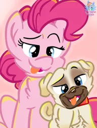 Size: 937x1224 | Tagged: safe, artist:rainbow eevee, derpibooru import, pinkie pie, dog, pony, pug, cute, disney, disney junior, duo, female, mare, puppy dog pals, raised eyebrow, rolly, selfie, silly, tongue out